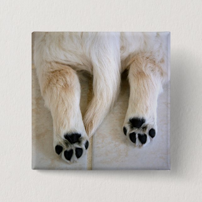 Golden Retriever Puppy Toes 2 Inch Square Button (Front)