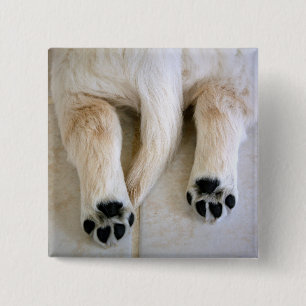 Golden Retriever Puppy Toes 2 Inch Square Button