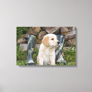golden retriever puppy with boots canvas print