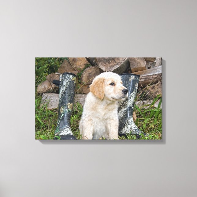 golden retriever puppy with boots canvas print (Front)