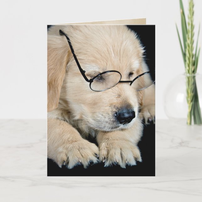 Golden Retriever puppy with glasses Card (Front)