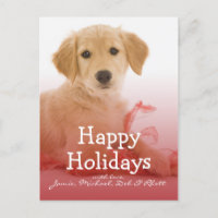 Golden Retriever puppy with ribbon