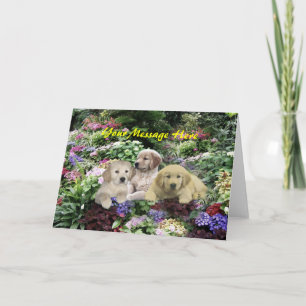 Golden Retriever Pups In Garden Greeting Card