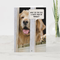 Golden Retriever Retirement