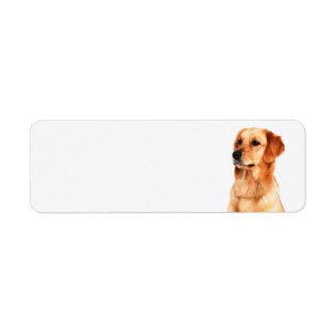 Golden Retriever Return Address Label