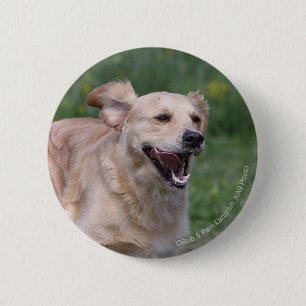 Golden Retriever Running 1 2 Inch Round Button