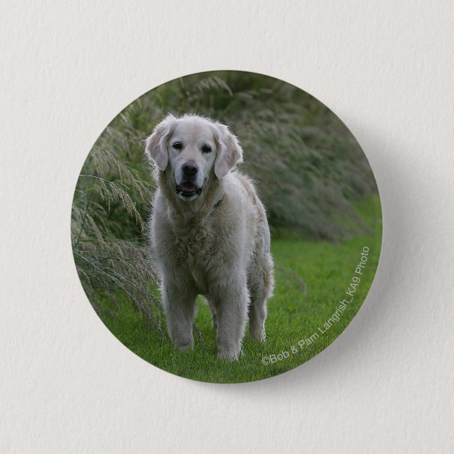 Golden Retriever Running 2 2 Inch Round Button (Front)