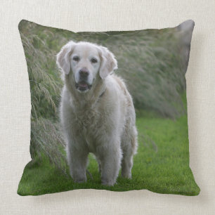 Golden Retriever Running 2 Throw Pillow