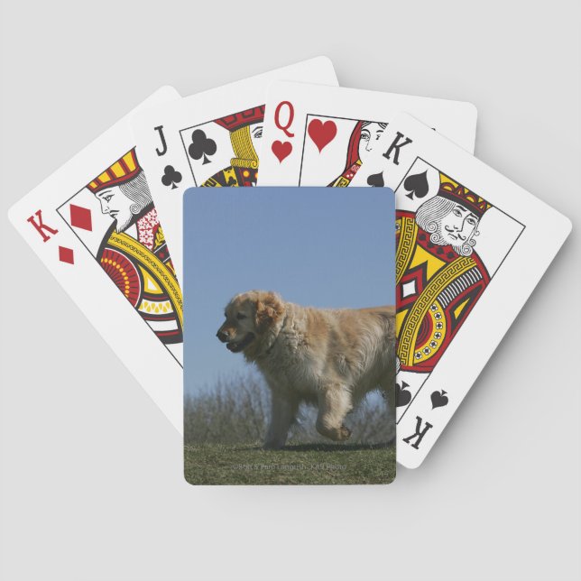 Golden Retriever Running 3 Playing Cards (Back)