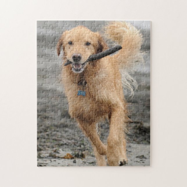 Golden Retriever Running With  Stick In Mouth Jigsaw Puzzle (Vertical)