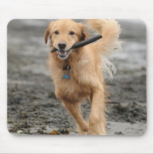 Golden Retriever Running With  Stick In Mouth Mouse Pad