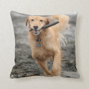 Golden Retriever Running With  Stick In Mouth Throw Pillow