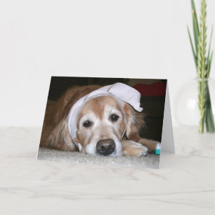 Golden Retriever S'améliorer bientôt Carte de voeu