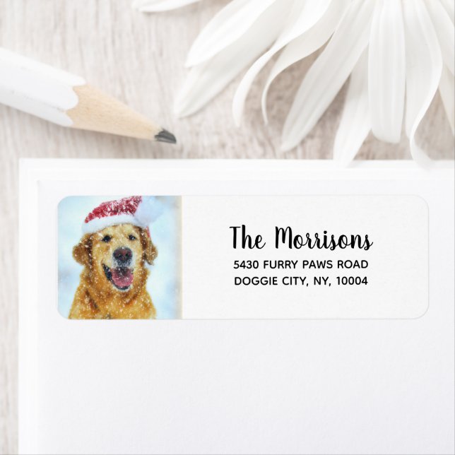 Golden Retriever Santa Hat, Adresse de retour pers (En situation)