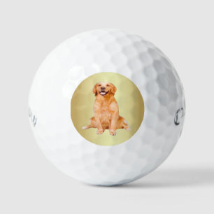Golden Retriever Sitting - Adorable Design Golf Balls
