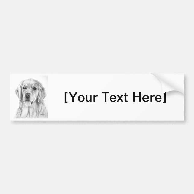 Golden Retriever Sketch Bumper Sticker (Front)