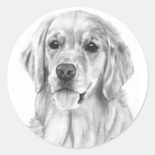 Golden Retriever Sketch Stickers