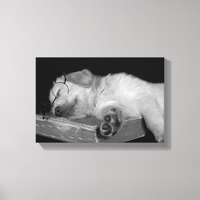 golden retriever sleeping on old book canvas print (Front)
