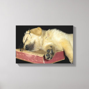 golden retriever sleeping on old book canvas print