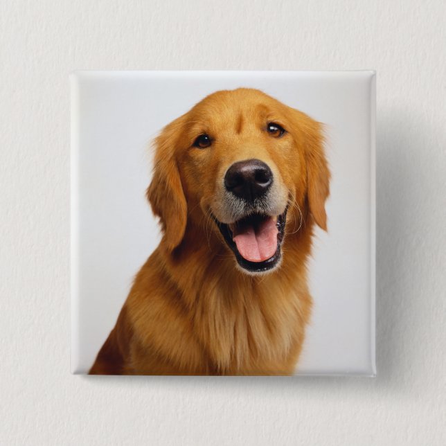 Golden Retriever Smile 2 Inch Square Button (Front)
