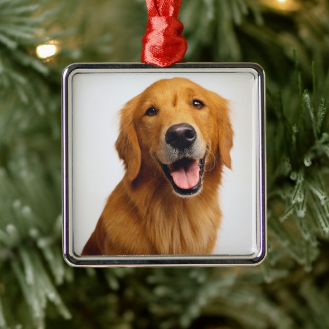 Golden Retriever Smile Metal Ornament (Tree)