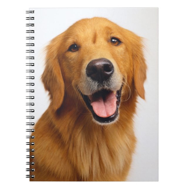 Golden Retriever Smile Notebook (Front)