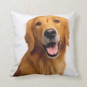 Golden Retriever Smile Throw Pillow