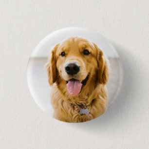 Golden Retriever Smiling 1 Inch Round Button