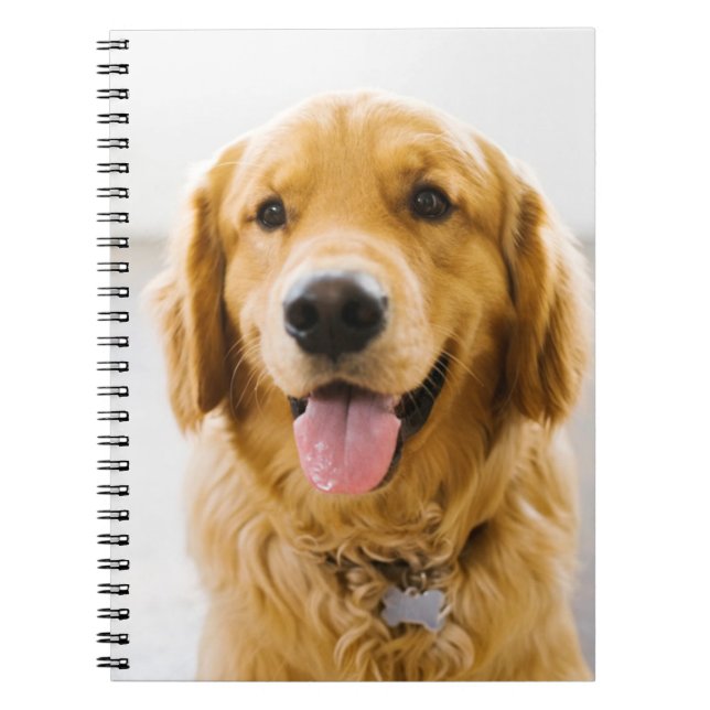 Golden Retriever Smiling Notebook (Front)