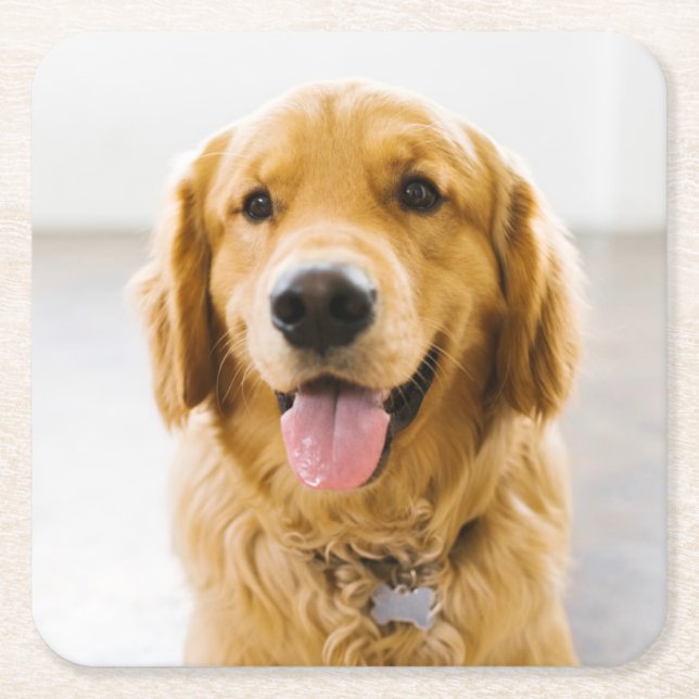 Golden Retriever Smiling Square Paper Coaster (Front)