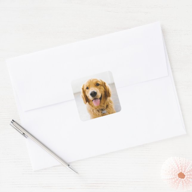 Golden Retriever Smiling Square Sticker (Envelope)