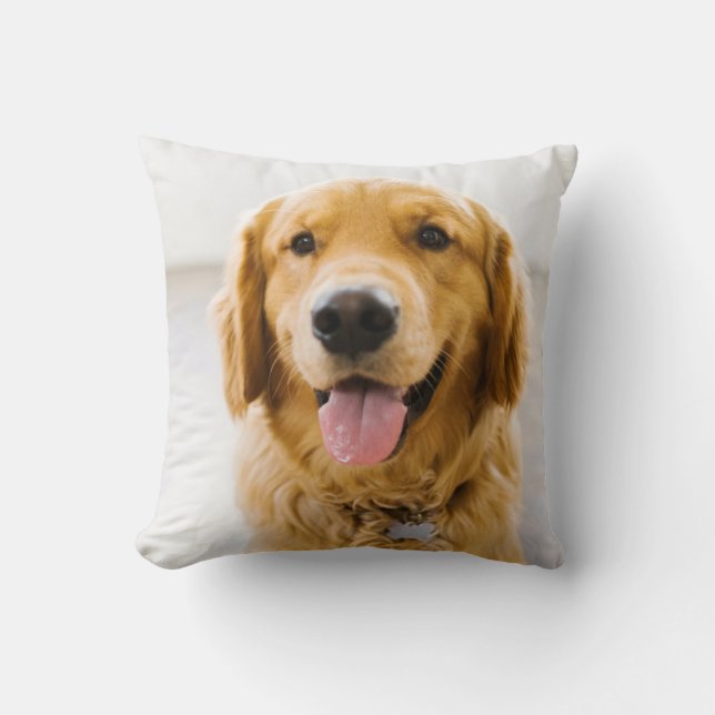 Golden Retriever Smiling Throw Pillow (Front)