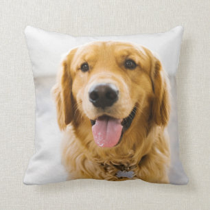 Golden Retriever Smiling Throw Pillow