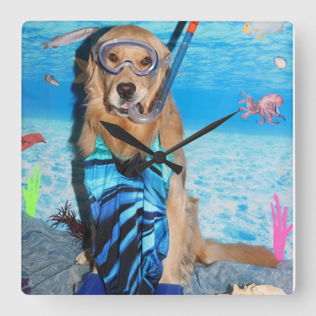 Golden Retriever Snorkeler Square Wall Clock (Front)