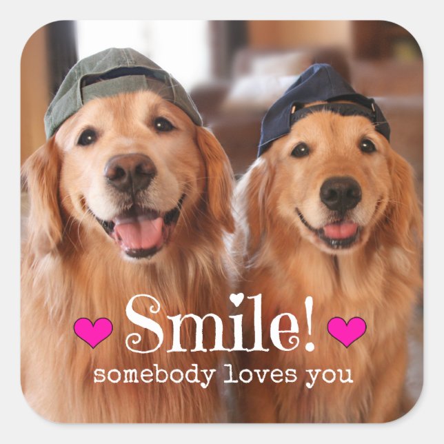 Golden Retriever Somebody Loves You Square Sticker (Front)