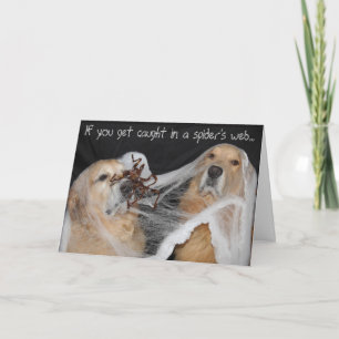 Golden Retriever Spider Web Halloween Holiday Card