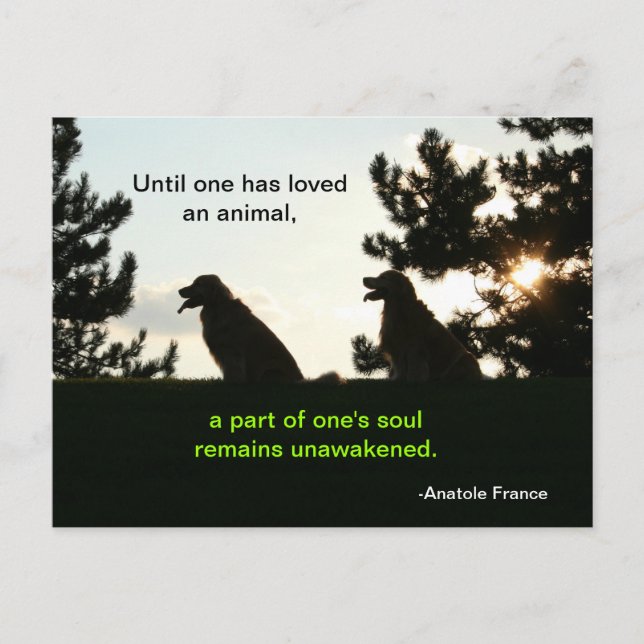 Golden Retriever Spiritual Pet Quote Postcard (Front)