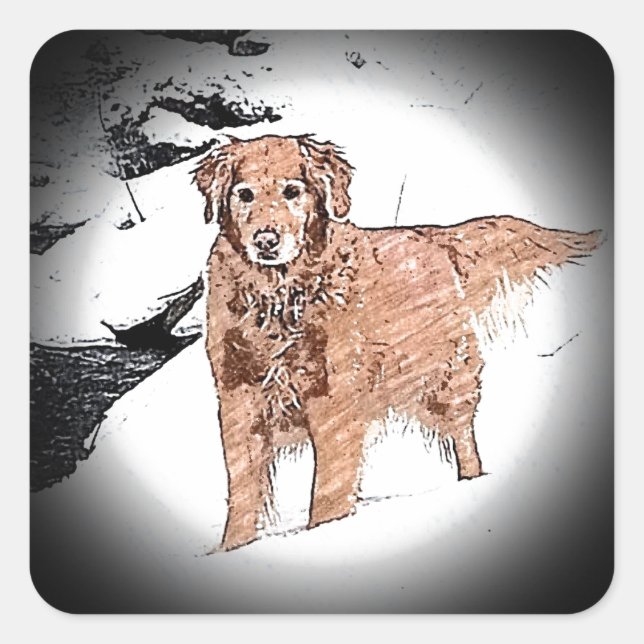 Golden Retriever Square Sticker (Front)