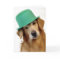 Golden Retriever St. Patrick's Day
