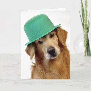 Golden Retriever St. Patrick's Day Card