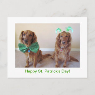 Golden Retriever St. Patrick's Day Postcard