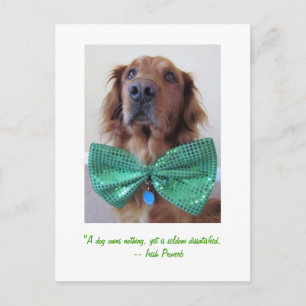 Golden Retriever St. Patrick's Day Postcard
