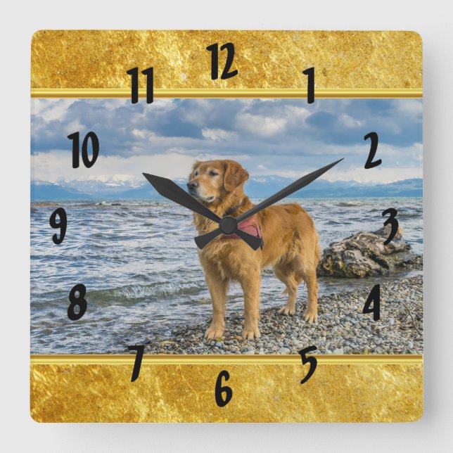 Golden Retriever standing on the blue ocean rocky Square Wall Clock (Front)