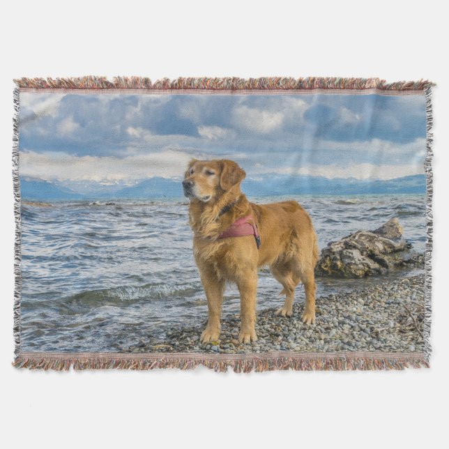 Golden Retriever standing on the blue ocean rocky Throw Blanket (Front)