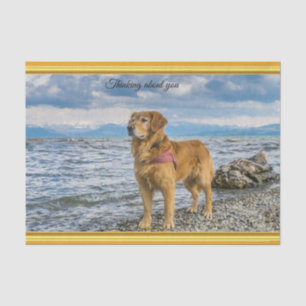 Golden Retriever standing on the blue ocean rocky Tissue Paper