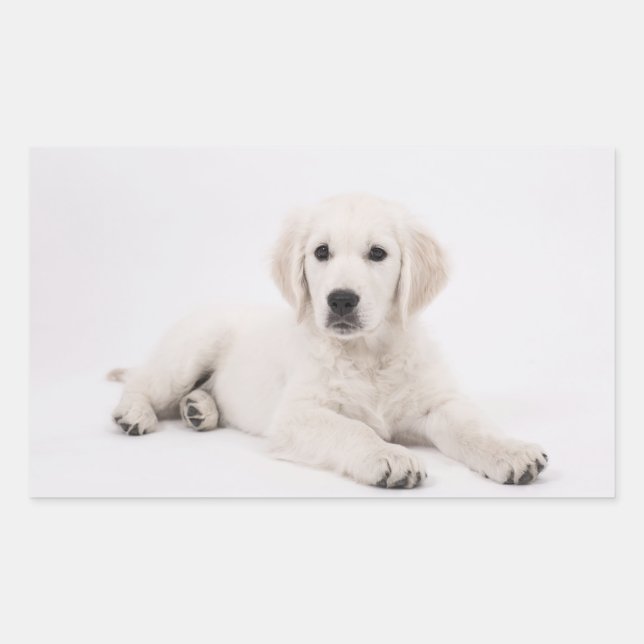 Golden Retriever Sticker (Front)