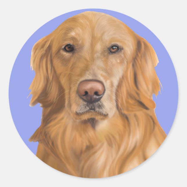 Golden retriever stickers (Front)