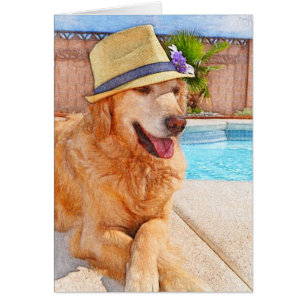 Golden Retriever - Summer Love