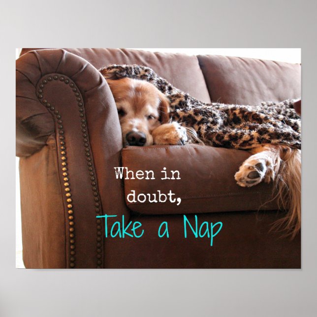 Golden Retriever Take a Nap Poster (Front)
