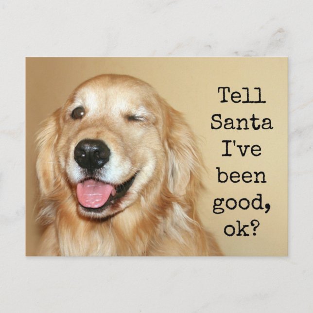 Golden Retriever Tell Santa Christmas Card (Front)